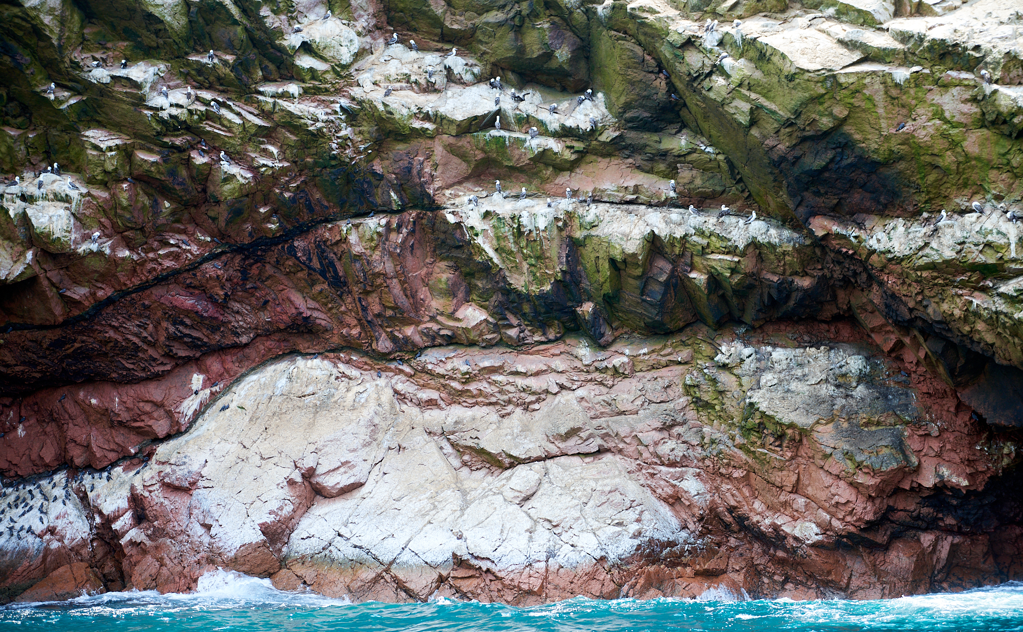 20200304 153 [페루] 바예스타섬